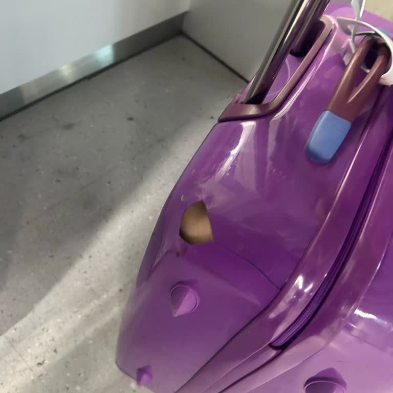 Pegasus Bavulumu Parçaladılar!