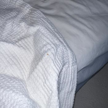 Villa Yona Sorun Yaşama