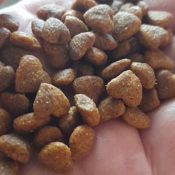 Enjoy Mama Sonrası Kusma Ve Yetersiz Müşteri Desteği