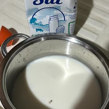 Dost Süt Kapalı Süt Ambalajından Sinek Ve Şüpheli Cisim Çıkması