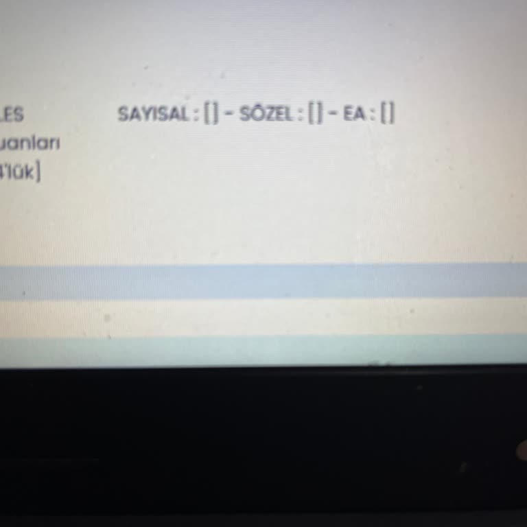 ALES Sonuçları Sisteme Yansımıyor, Başvuru Yapamıyorum