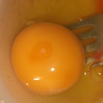 Türe Yumurta Taze Ve Büyük Boy Yumurta Bulmak İmkansız Hale Geldi