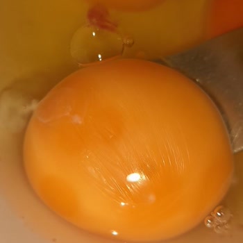 Türe Yumurta Taze Ve Büyük Boy Yumurta Bulmak İmkansız Hale Geldi