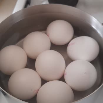 Türe Yumurta Taze Ve Büyük Boy Yumurta Bulmak İmkansız Hale Geldi