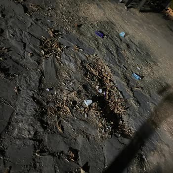 Parkın Bakımsızlığı ve Çocuklar İçin Güvenlik Sorunları Hakkında Şikayet