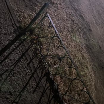 Parkın Bakımsızlığı ve Çocuklar İçin Güvenlik Sorunları Hakkında Şikayet