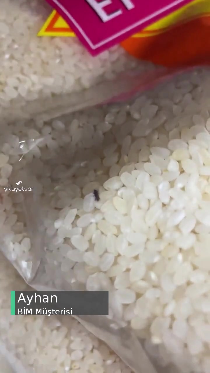 BİM Market Elazığ Kapalı Ambalajlı Ürünlerde Böcekler Var! videonun kapak resmi