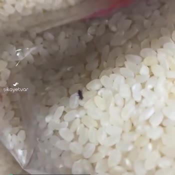 BİM Market Elazığ Kapalı Ambalajlı Ürünlerde Böcekler Var!