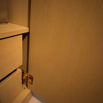 Garanti Kapsamındaki Gardıroba Yüksek Tamir Ücreti Ve İlgisiz Servis Mağduriyeti