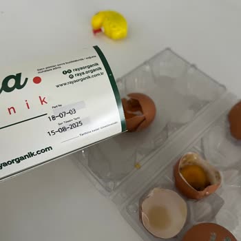 Organik Yumurta Fiyaskosu: Hepsi Kırık Çıktı!