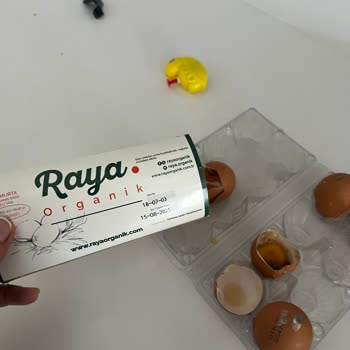 Organik Yumurta Fiyaskosu: Hepsi Kırık Çıktı!