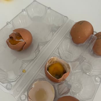 Organik Yumurta Fiyaskosu: Hepsi Kırık Çıktı!