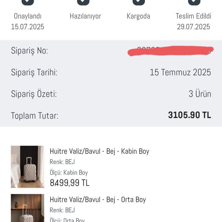 Teslim Edilmeyen Valiz Ve Yetersiz Müşteri Hizmetiyle Hayal Kırıklığı