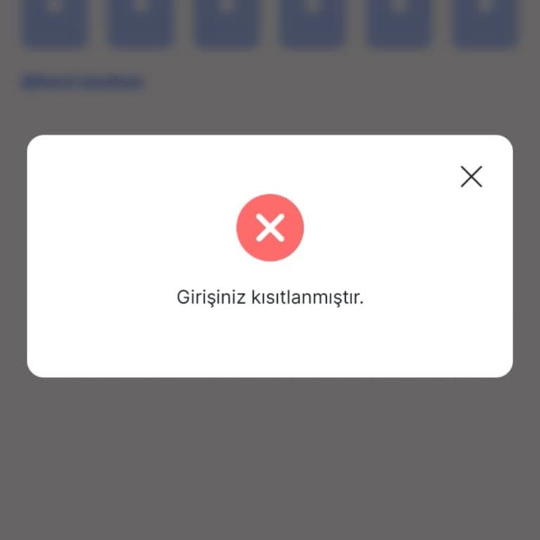 İyzico Hesabım Kısıtlandı Ve Paramı Alamıyorum
