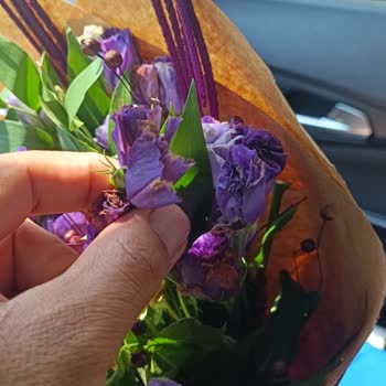 Sipariş Edilen Çiçek Yerine Solmuş Ve Farklı Bir Ürün Gönderildi