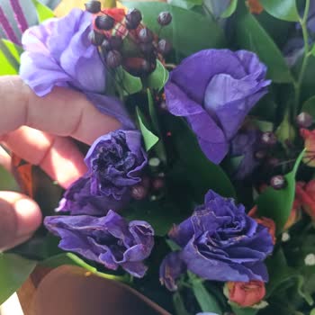 Sipariş Edilen Çiçek Yerine Solmuş Ve Farklı Bir Ürün Gönderildi