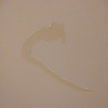 Dyo Hidrolüx Kapı Boyası Kısa Sürede Soyuluyor