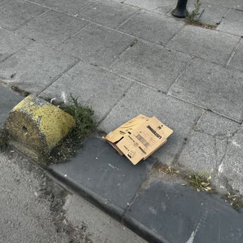 Rossmann Mağazasının Çevre Kirliliğine Duyarsızlığı Mahalle Sakinlerini Mağdur Ediyor