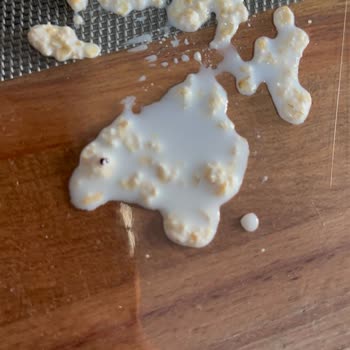 Sipariş Verdiğim Yulaf Ezmesinde Böcek Parçaları Çıktı, Hijyen Ve İade Talebim Var