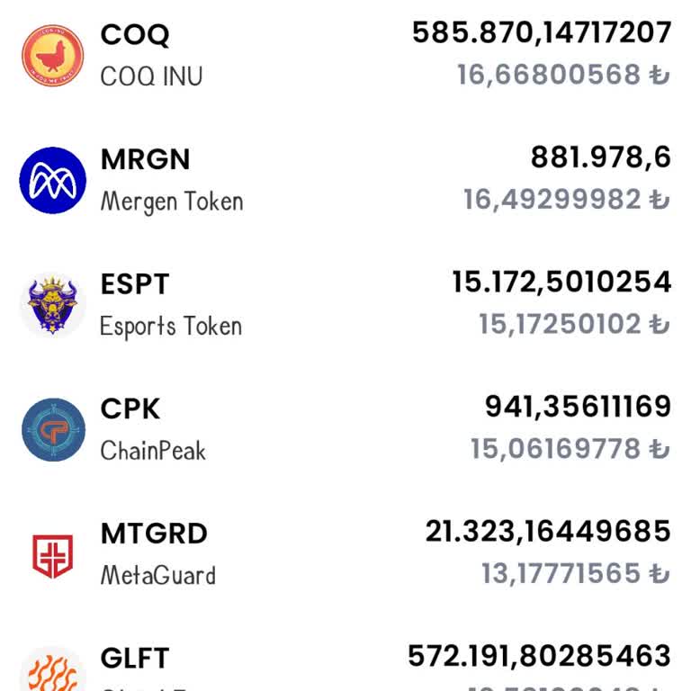 Safebit Borsasında Token Transferi Ve Dönüşüm Sorunu Nedeniyle Mağduriyet