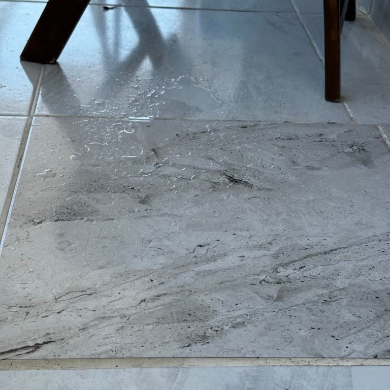 TCL Klima Servis Sorunu Ve Güvenlik Endişesi Yaşadım