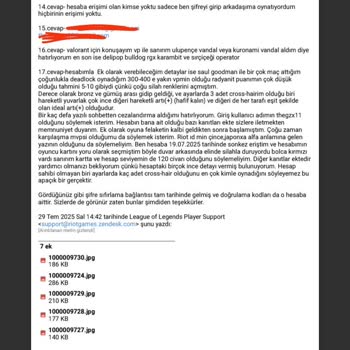 Valorant Hesabım Çalındı, Riot Games Destek Vermedi