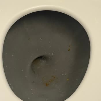 Uçak Temizliği Ve Hijyen Sorunu Deneyimi