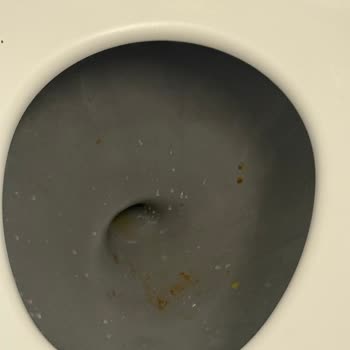 Uçak Temizliği Ve Hijyen Sorunu Deneyimi