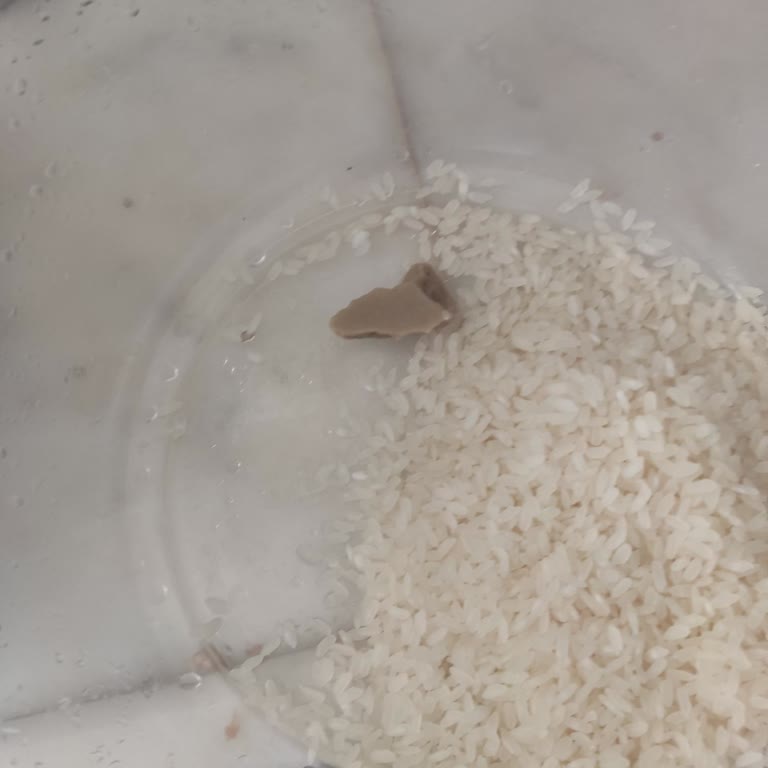 Migros'tan Aldığım Pirinçte Yabancı Maddeler Ve Hijyen Sorunu