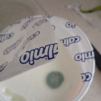 Aldığım Yoğurt Son Kullanma Tarihine Rağmen Bozuk Çıktı