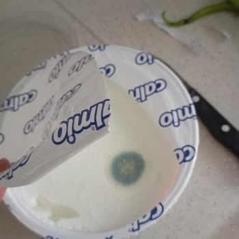 Aldığım Yoğurt Son Kullanma Tarihine Rağmen Bozuk Çıktı