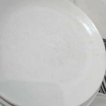 Hijyen Sorunları Ve Yetersiz Temizlik Nedeniyle Hayal Kırıklığı