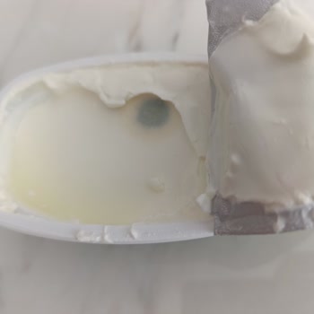 Tarihi Geçmemiş Labne Bozuk Çıktı, Hayal Kırıklığı