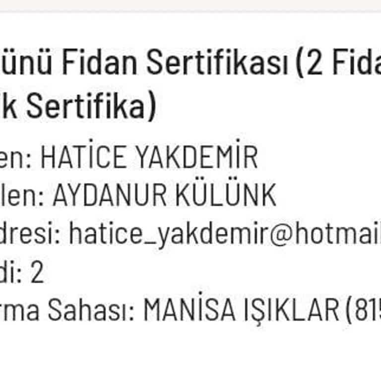 Bağış Sertifikam E-posta İle Ulaşmadı, Mağduriyetimin Giderilmesini İstiyorum