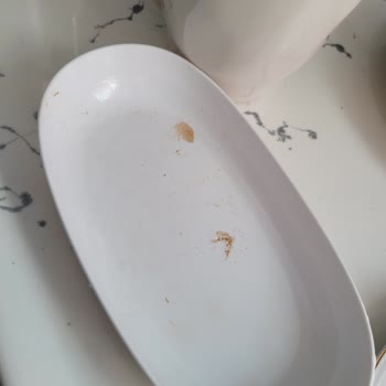 Hoover Bulaşık Makinesi Kapasite Ve Temizlik Sorunları Yaşatıyor