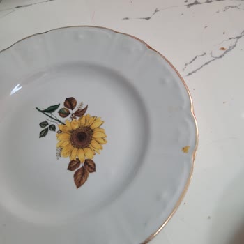 Hoover Bulaşık Makinesi Kapasite Ve Temizlik Sorunları Yaşatıyor