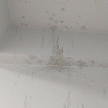 Altınkılıç Kefir Şişesi Patladı: Evde Büyük Zarar Ve Güvenlik Endişesi