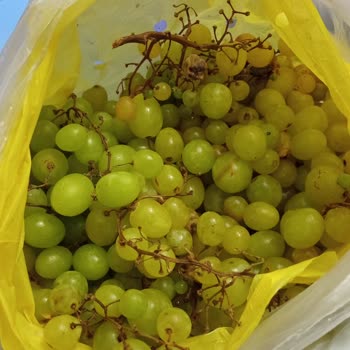 Migros Sanal Marketten Gecikmeli Ve Hasarlı Ürün Teslimatı