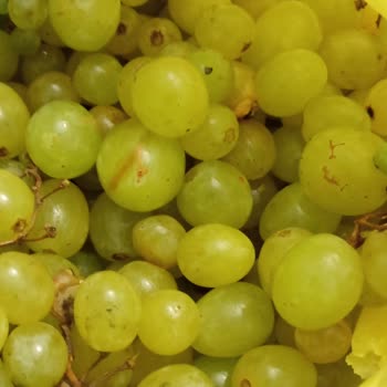 Migros Sanal Marketten Gecikmeli Ve Hasarlı Ürün Teslimatı