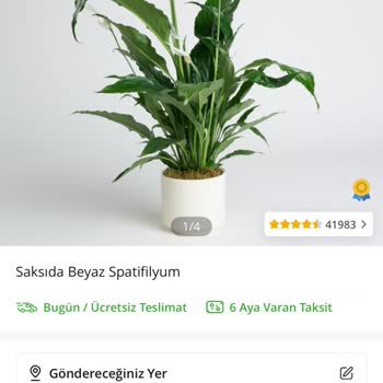 Sipariş Görseli Ve Ürün Uyumsuzluğu Müşteri Hizmetleri Sorunu