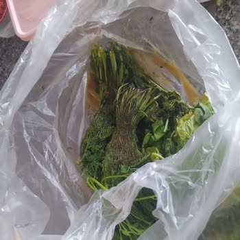 Arızası Bitmeyen Buzdolabı Ve Servis Mağduriyeti