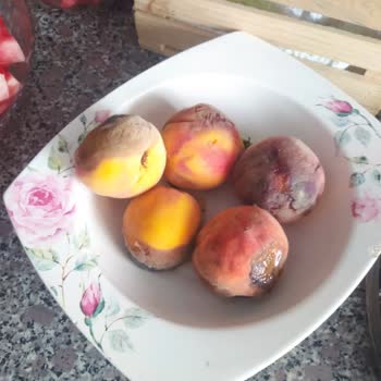 Arızası Bitmeyen Buzdolabı Ve Servis Mağduriyeti