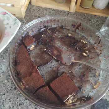 Arızası Bitmeyen Buzdolabı Ve Servis Mağduriyeti