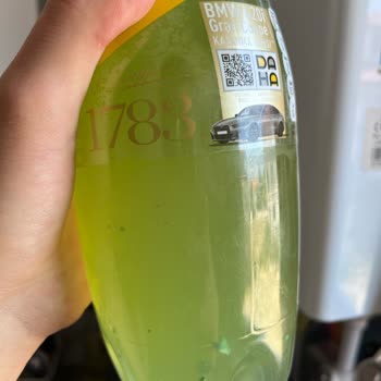 Schweppes Limonata Şişesinde Beklenmedik Tortu Sorunu