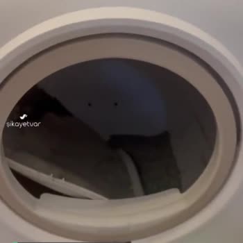 Xenon Smart Kedi Tuvaleti Sorunu