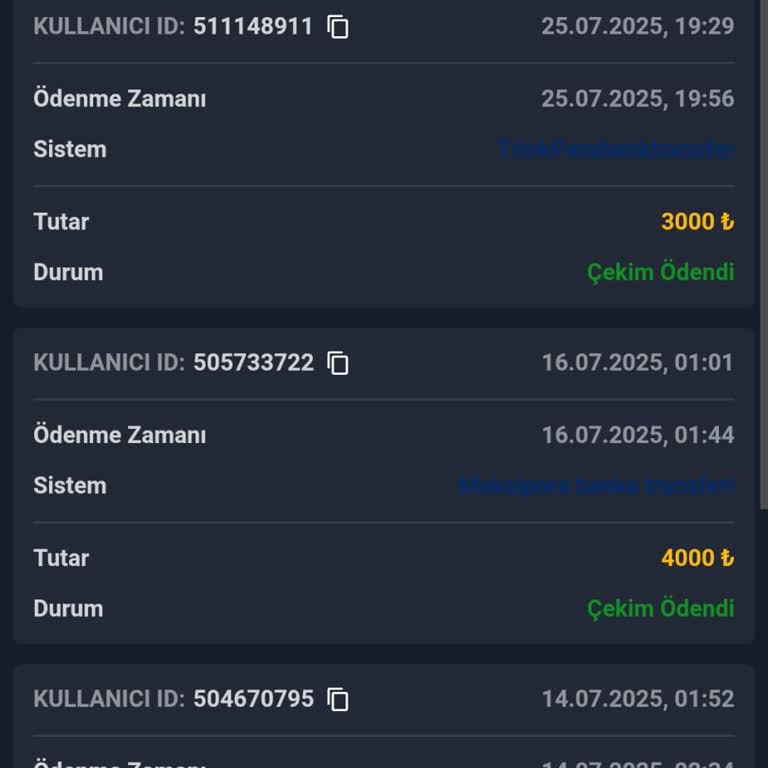 Padişahbet Kimlik Bilgilerimin Güvenliği Ve Para Transferi Konusunda Yaşadığım Sorun