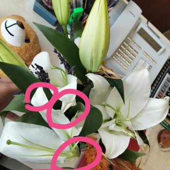 Siparişimde Beklentimi Karşılamayan Çiçek Ve Hediye Teslimatı