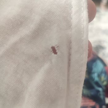 Çamaşır Makinesi Kıyafetleri Deliyor, Servisten Çözüm Yok!