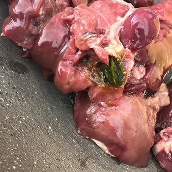 Ürün Sağlığı Konusunda Ciddi Endişe: Çocuklarımın Güvenliği Tehlikeye Atıldı