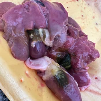 Ürün Sağlığı Konusunda Ciddi Endişe: Çocuklarımın Güvenliği Tehlikeye Atıldı